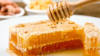 PROPIEDADES DE LA JALEA REAL