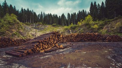 El impacto de la deforestación en el cambio climático
