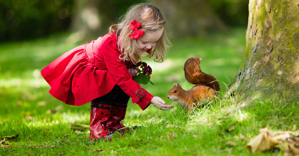 El amor a la naturaleza