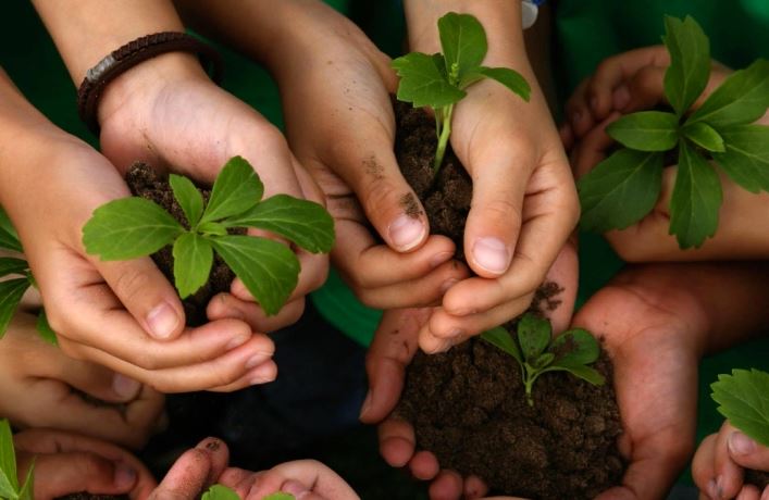La importancia de la biodiversidad para el equilibrio ecológico