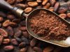 El cacao como fuente de antioxidantes
