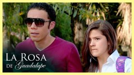 MISS LIKES | PARTE 1