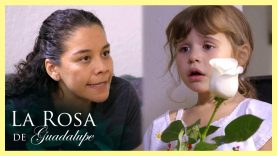 LA BALADA DE LAS FLORES