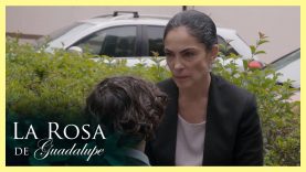 ADIOS A LA CULPA
