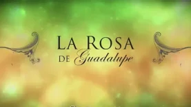 CUANDO EL VIENTO SOPLA
